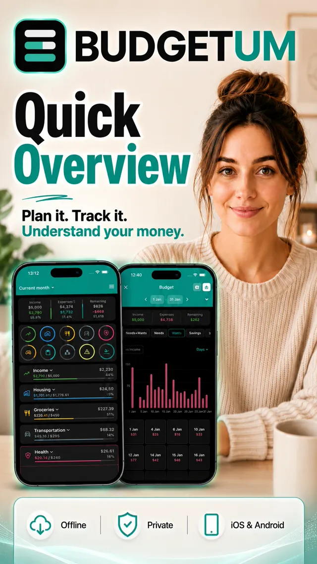 Budgetum quick overview video